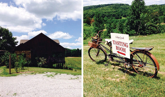 cedar-creek-vineyard-680