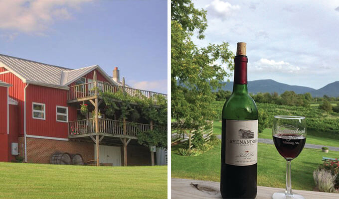shenandoah-vineyards-680