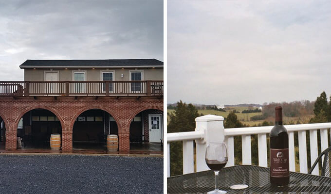 wolf-gap-vineyard-680