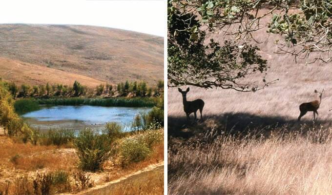 brushy-peak-regional-preserve-680