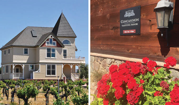concannon-vineyard-680