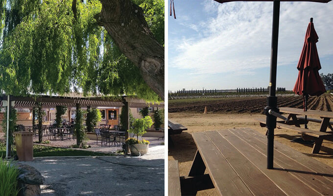 michael-david-vineyards-680