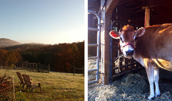 brightwood-vineyard-&-farm-680