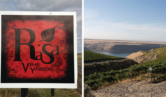rasa-vineyards