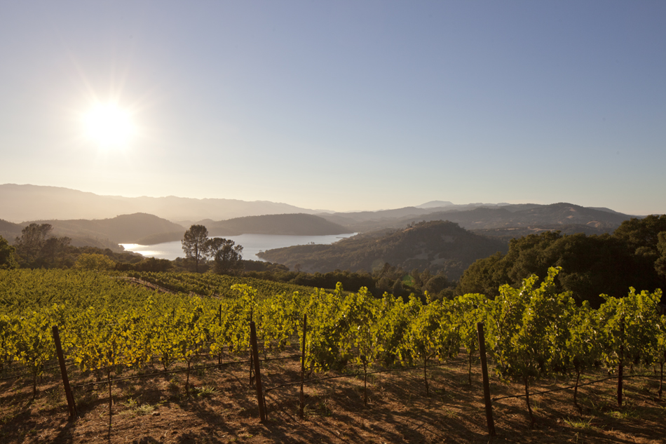 Napa-Valley-Day-Trip-Chappellet-Winery