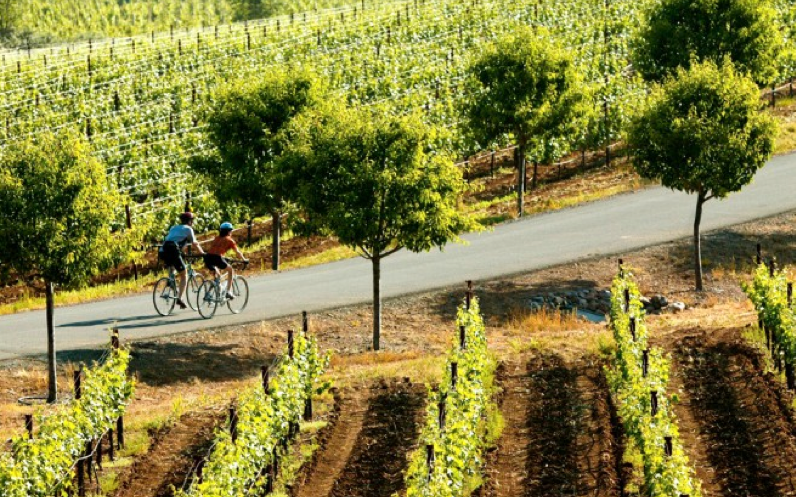 Trek-Travel-Napa-valley-bike-tour