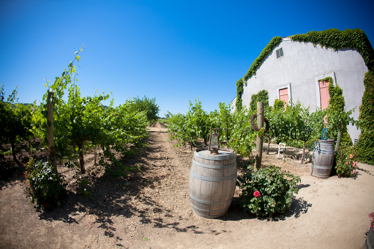 best-time-to-visit-obrien-estate