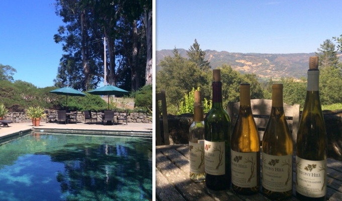 stony-hill-vineyard-680