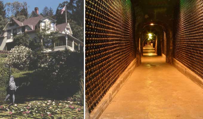 schramsberg-vineyard