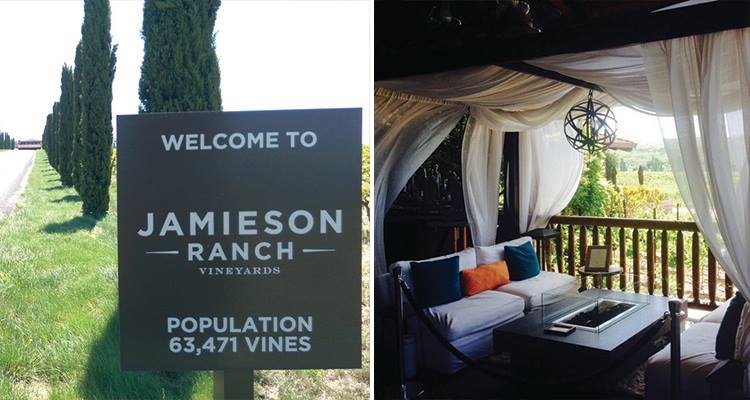 Jamieson Ranch Vineyards