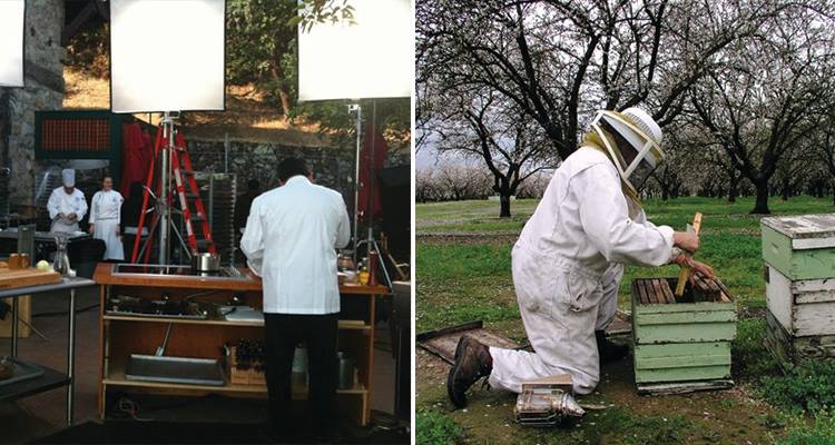 marshall's-farm-honey