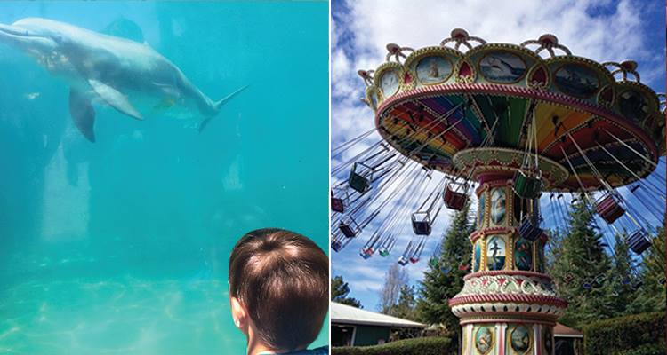 holiday-inn-express-&-suites-napa-valley-american-canyon