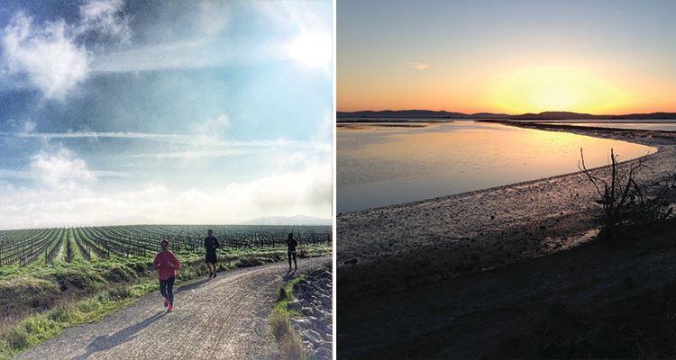 holiday-inn-express-&-suites-napa-valley-american-canyon