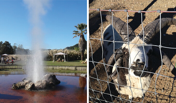 old-faithful-geyser-680