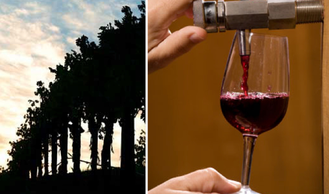 knights-bridge-winery-680