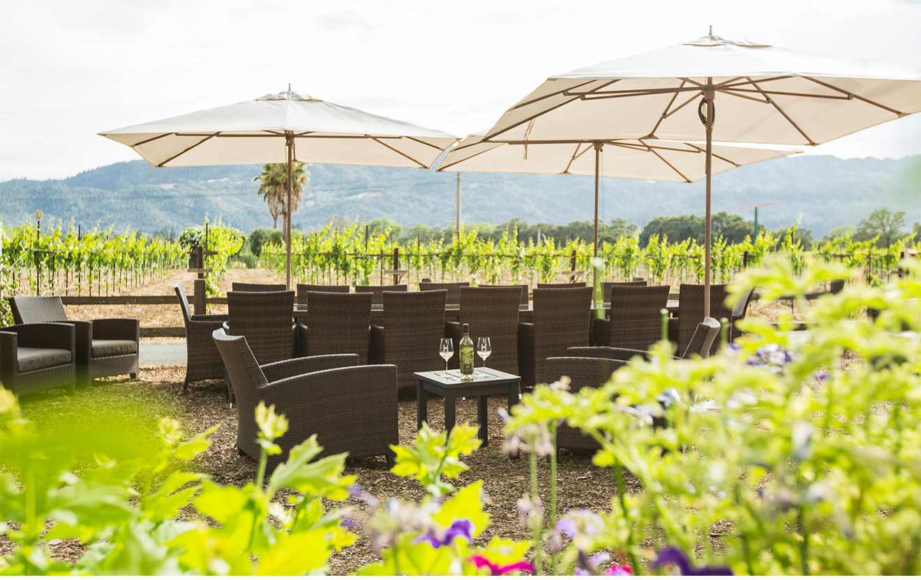 Honig Vineyard and Winery