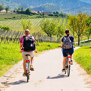 Wine Country Inn property located in St. Helena, Napa Valley CA