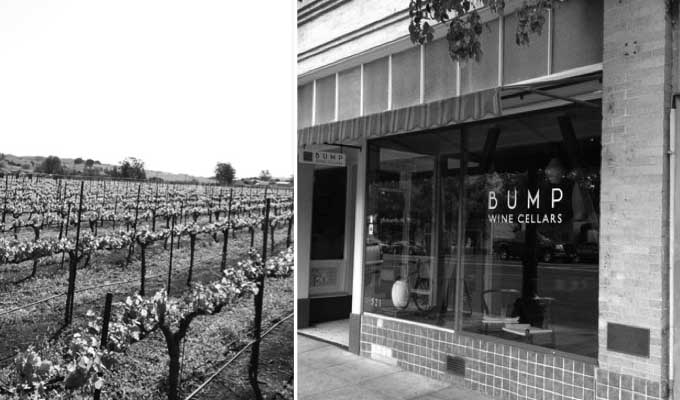 bump-wine-cellars-2