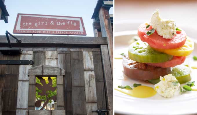 the-girl-and-the-fig