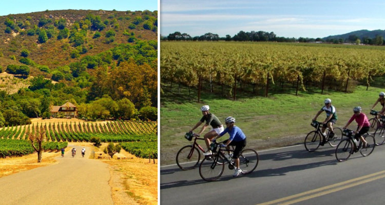 Sonoma Valley Bike Tours