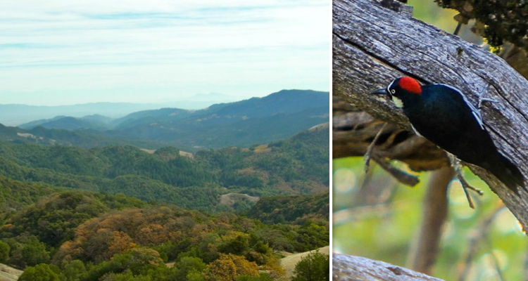 Sugarloaf Ridge State Park