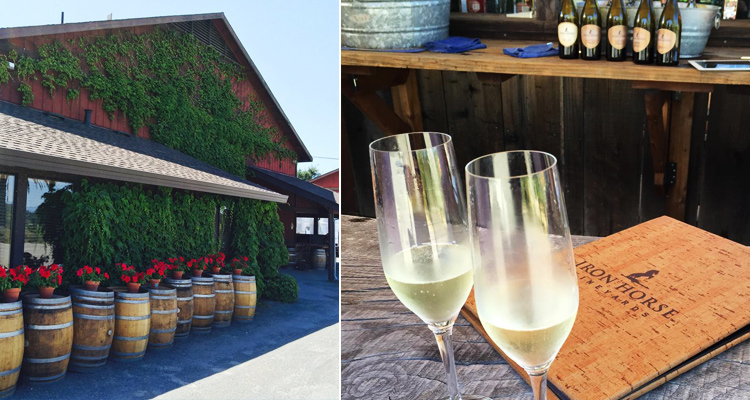 Iron-Horse-Vineyards-750x400