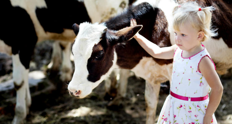 sonoma-road-trip-750-2