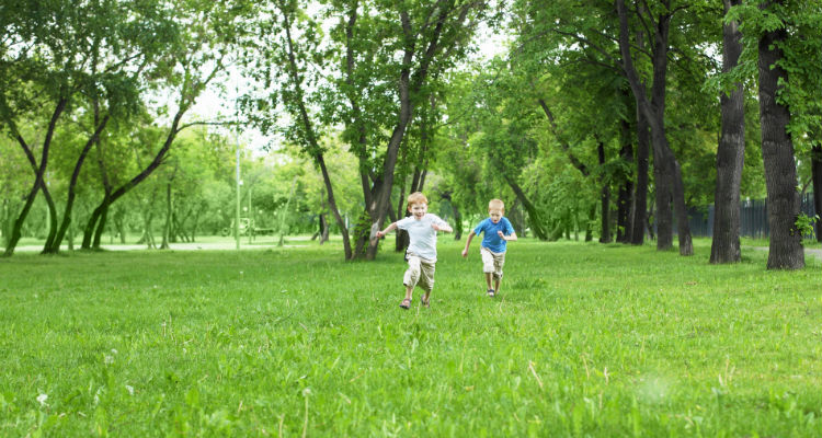 sonoma-road-trip-750-4