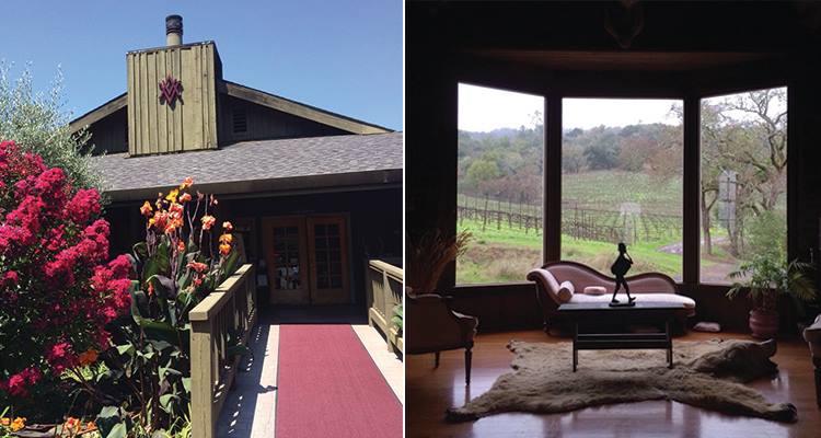 alexander-valley-vineyards-750