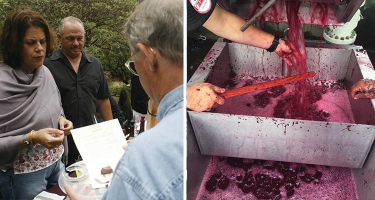 forestville-farmers-market-750