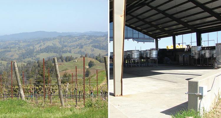 hirsch-vineyards-and-winery-750