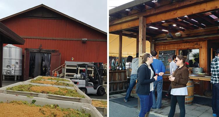 iron-horse-vineyards-750