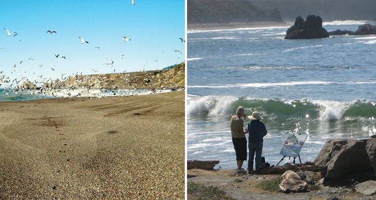 sonoma-coast-state-park-750