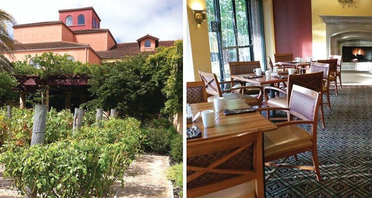 bacchus-restaurant-&-wine-bar-750