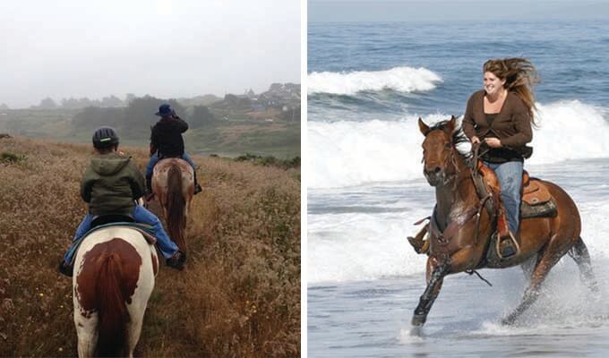 chanslor-stables-680