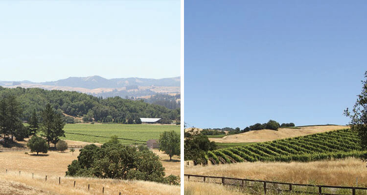 crane-creek-regional-park-680