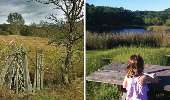 foothill-regional-park-680