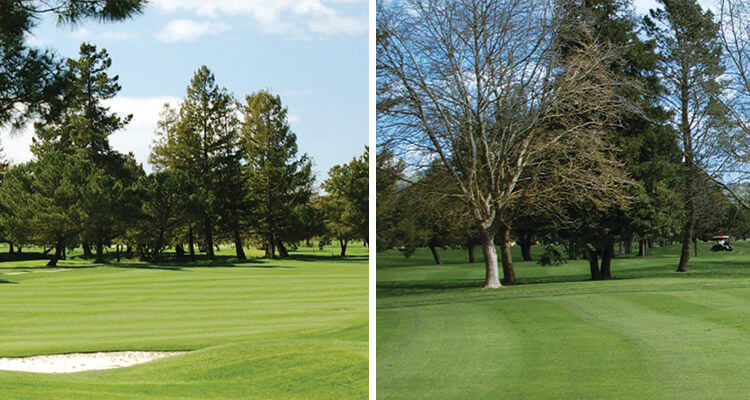 foxtail-golf-club-680