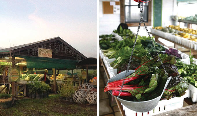 green-string-farm-680