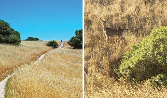 helen-putnam-regional-park-680