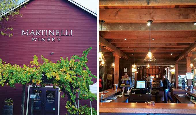 martinelli-vineyard-680