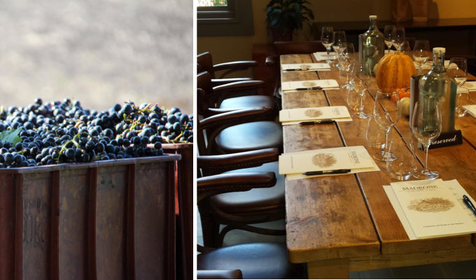 pure-luxury-wine-tours-680