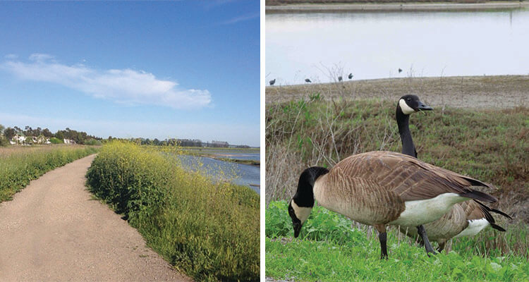 shollenberger-park-680