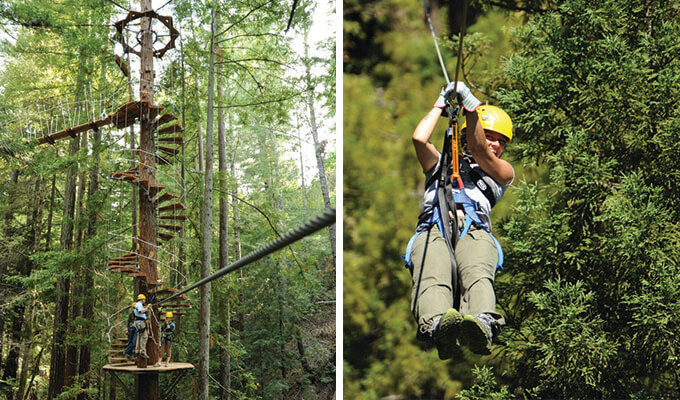 sonoma-canopy-tours-680