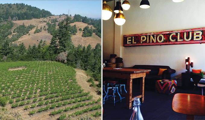 banshee wine tasting room the 15 best wine tasting rooms in sonoma
