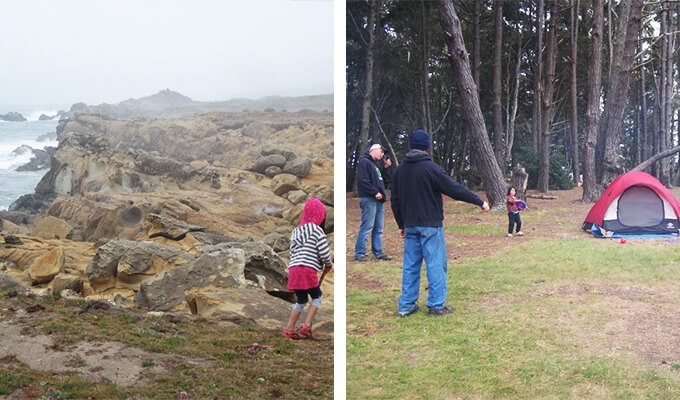 salt-point-state-park