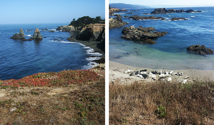 sea-ranch-coastal-access-trails
