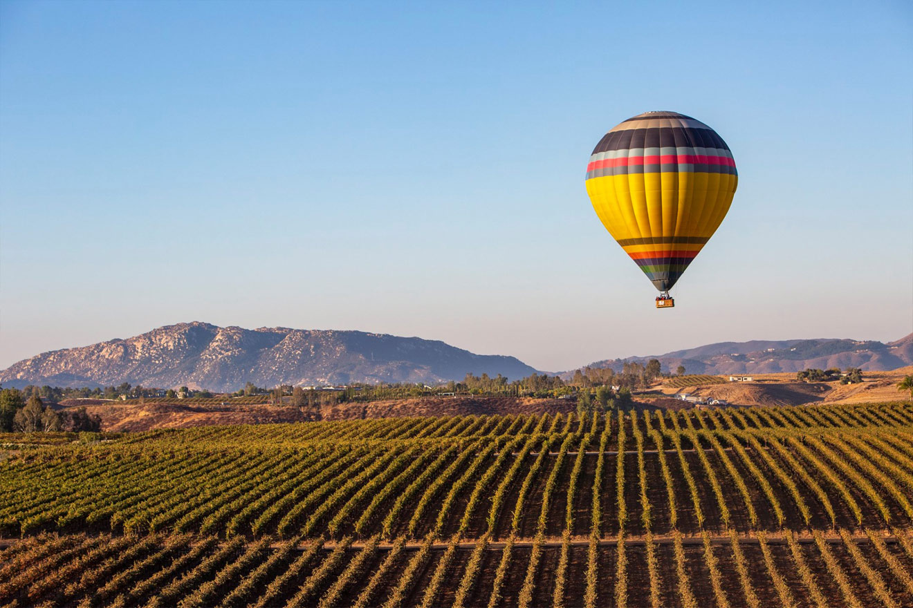 The 9 Best Temecula Wine Tours
