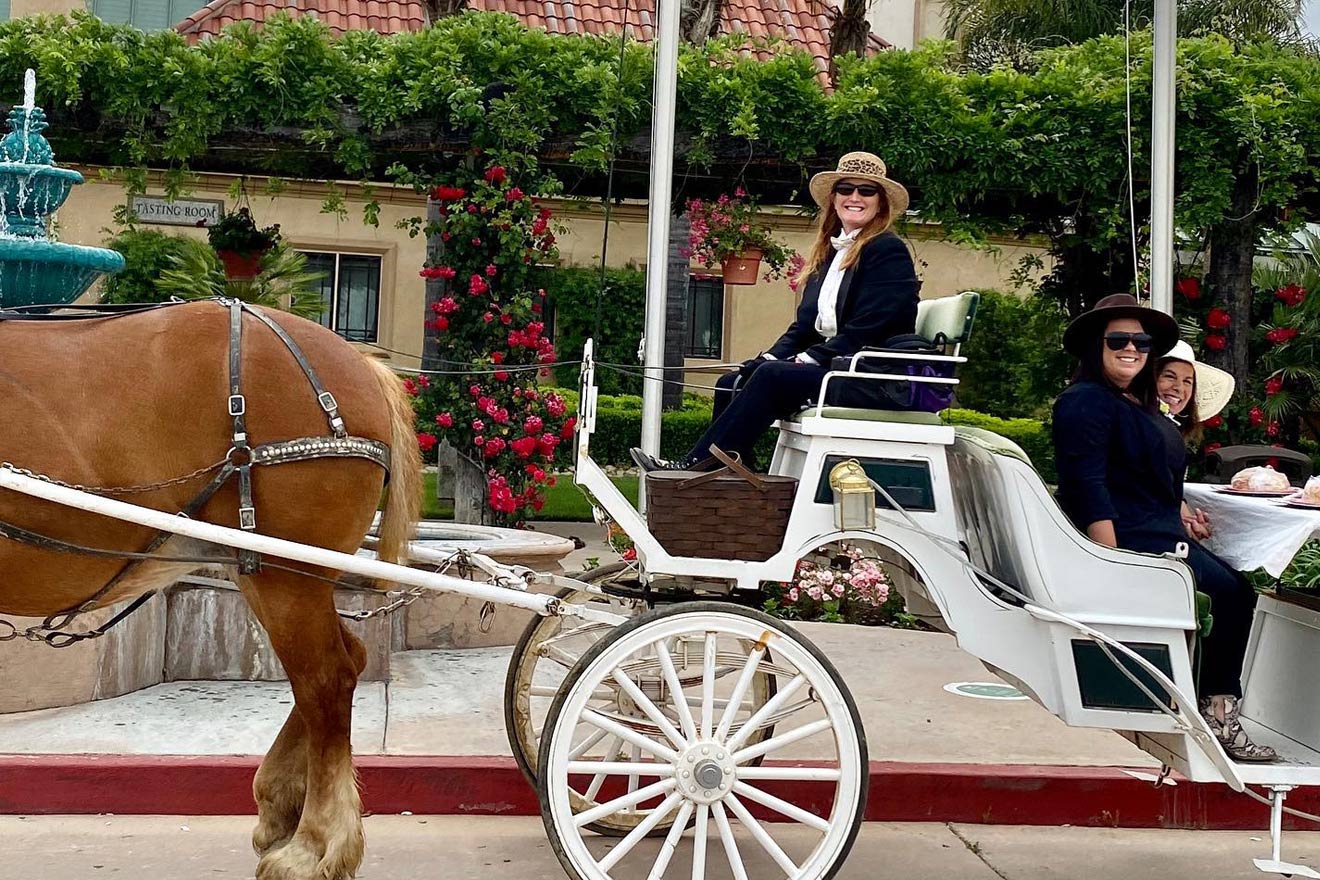 The 9 Best Temecula Wine Tours