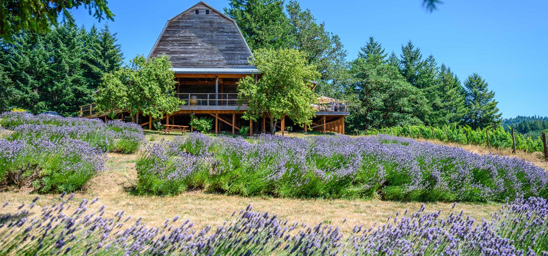10 Best Places to Stay in Oregon Wine Country